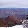 Grand canyon 11